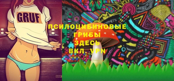 скорость Бородино