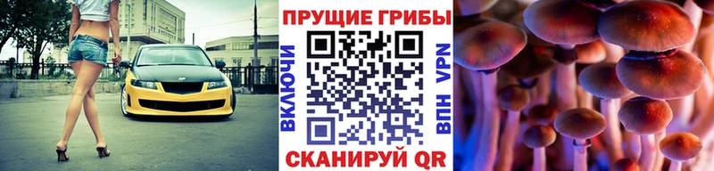 OMG онион  Тверь  Галлюциногенные грибы Cubensis 